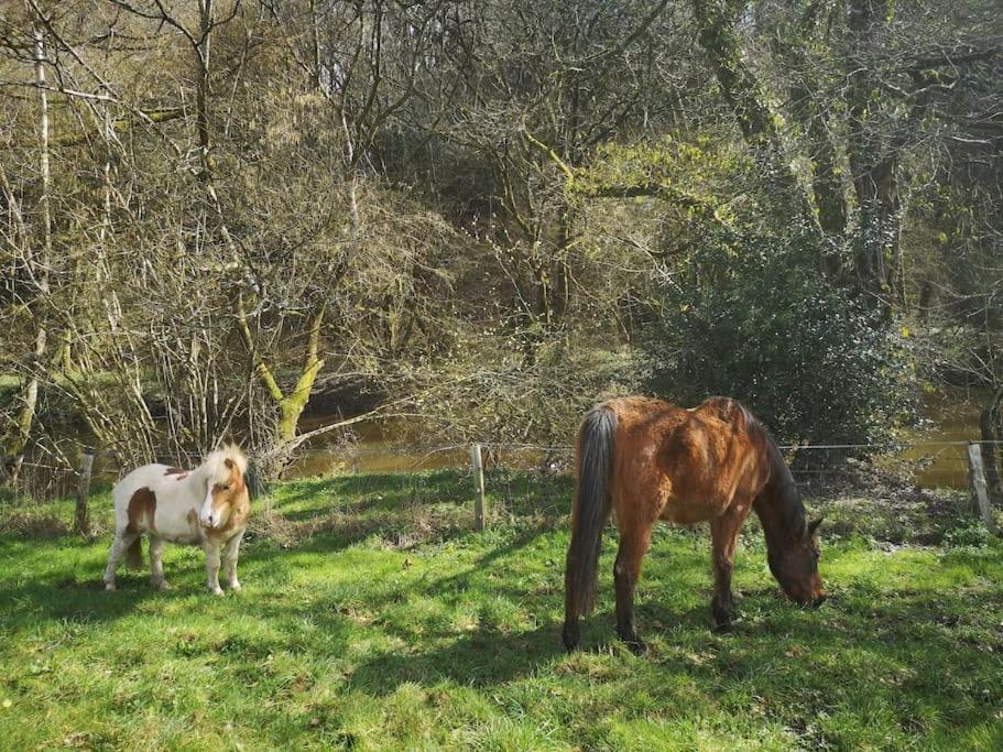 La Parenthese Villa Guénin Buitenkant foto